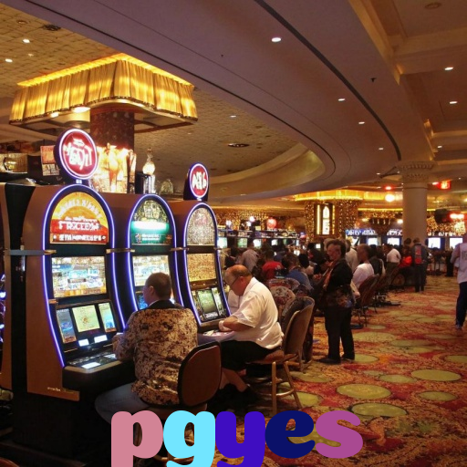 pgyes
