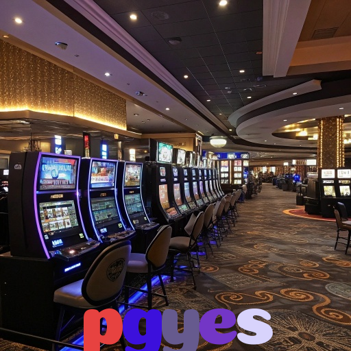  pgyes
