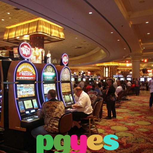  pgyes