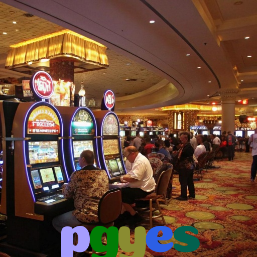  pgyes