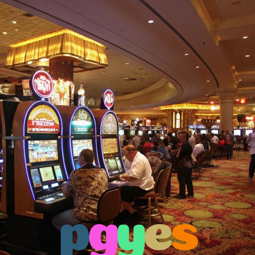  pgyes