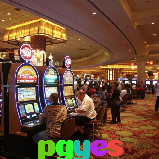  pgyes