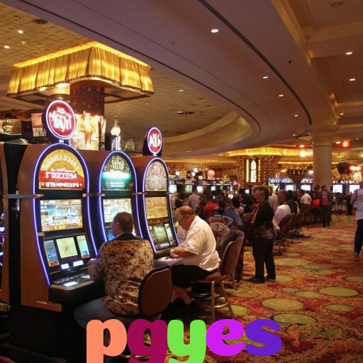  pgyes