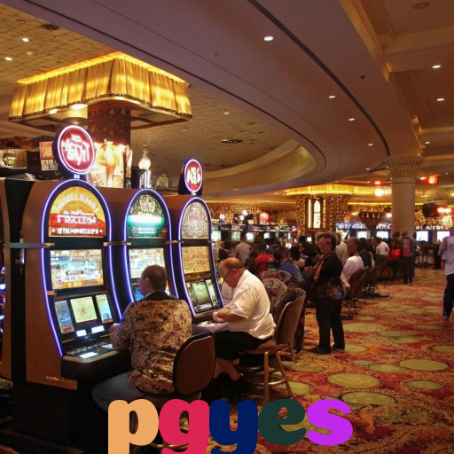  pgyes