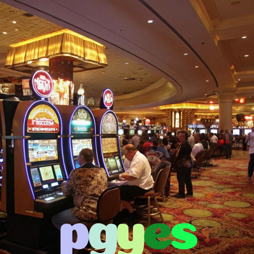  pgyes