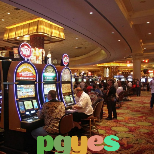  pgyes