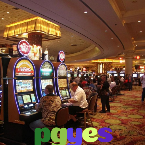  pgyes