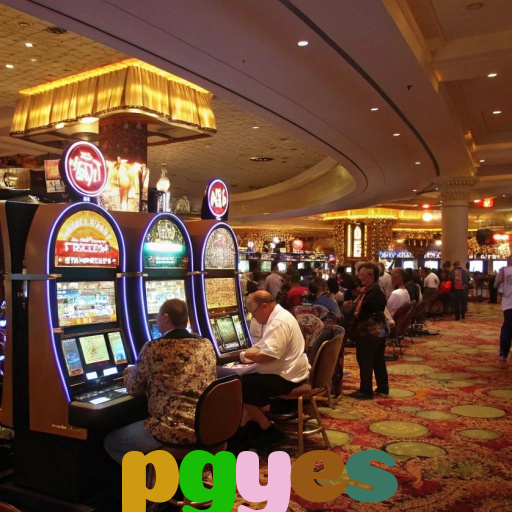  pgyes