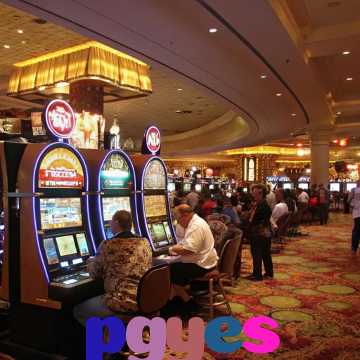  pgyes