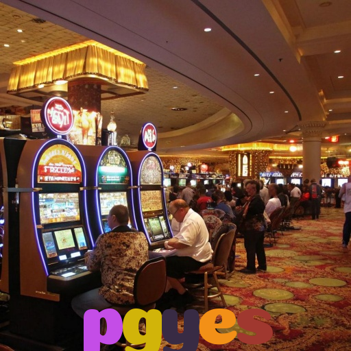 pgyes