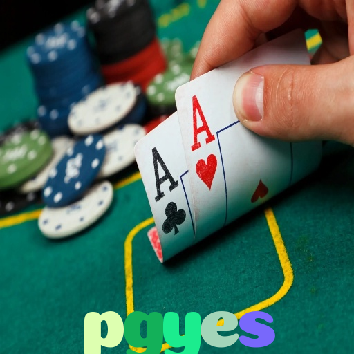  pgyes